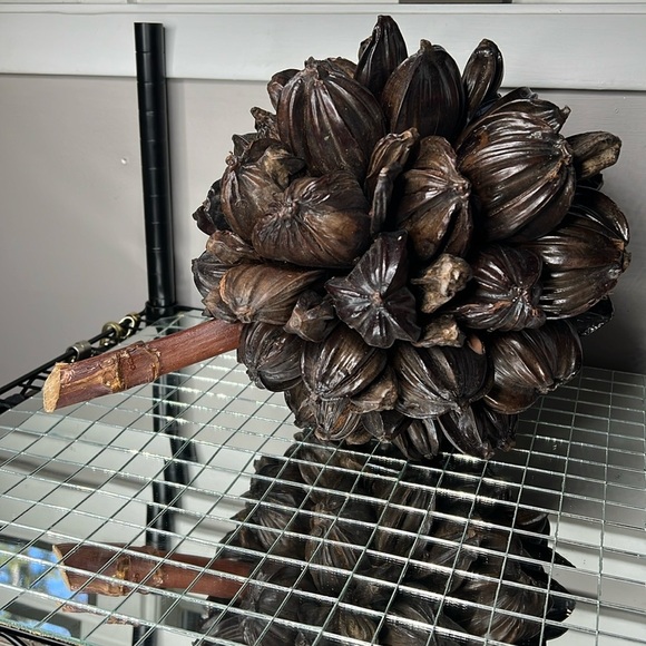 Dried Large Nipa Palm Fruit Cluster - Fully Intact - Picture 2 of 4